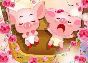 2019年属猪的阴历几月出生最好