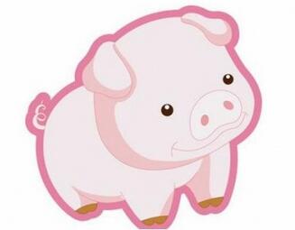 2019年属猪的阴历几月出生最好