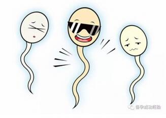 男性备孕前检查项目及费用 注意事项