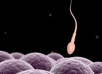 男性备孕前检查项目及费用 注意事项