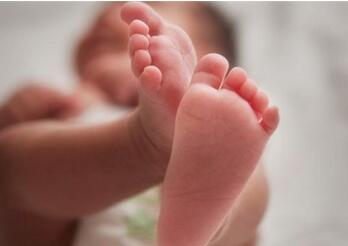 适合猪宝宝的乳名大全