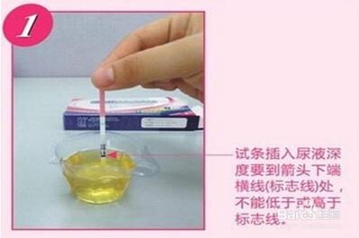 排卵试纸怎么用怎么看