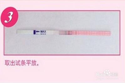 排卵试纸怎么用怎么看