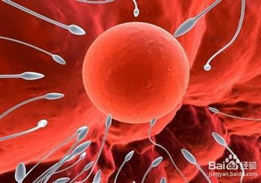 排卵试纸怎么用怎么看