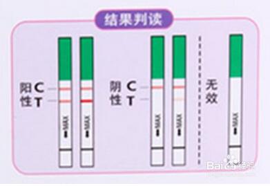 排卵试纸怎么用怎么看
