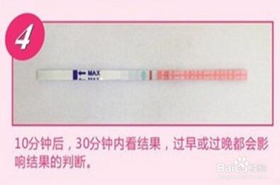 排卵试纸怎么用怎么看