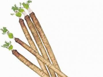 宝宝可以吃牛蒡吗