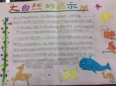 小学生大自然的启示手抄报内容图片