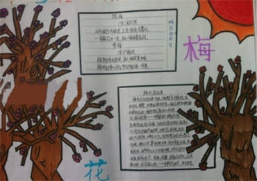 关于花的手抄报