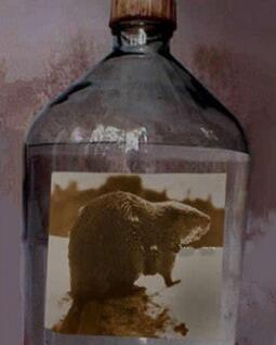 古代人怎么避孕