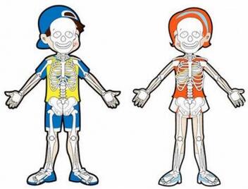 宝宝可以吃橄榄油吗 好处及注意事项