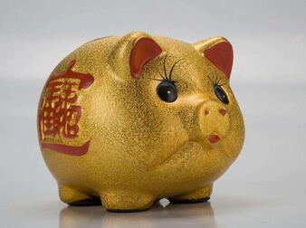 2019年是金猪年吗 2019莫名其妙的金猪年