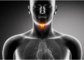 10个小方法缓解喉咙痛