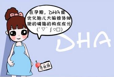 dha是什么 dha的作用