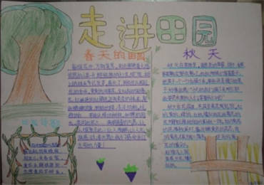 田园风光手抄报