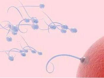 男人的精子能吃吗 吃精子的好处