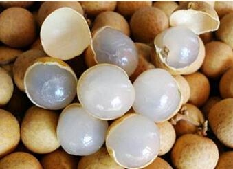 孕妇能吃桂圆吗