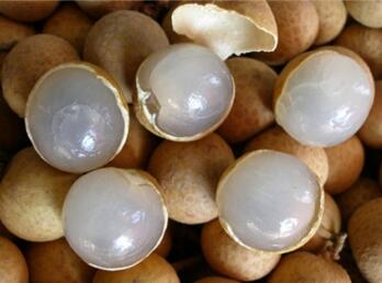 龙眼和桂圆的区别