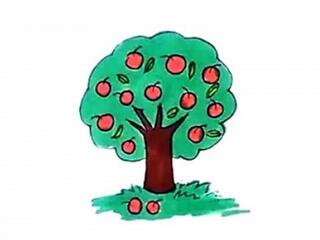 幼儿园彩色苹果树简笔画步骤图片