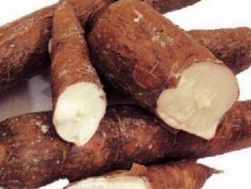 孕妇可以吃木薯吗