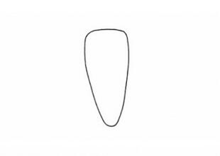 幼儿园卡通胡萝卜简笔画步骤图片