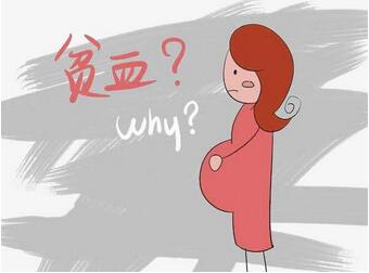 孕妇贫血吃什么食物 9种补血食物别错过