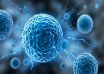 试管婴儿男方取精过程