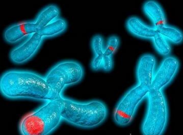 胎儿水肿是什么原因