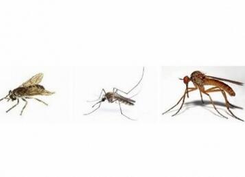 婴儿蚊帐的作用是什么