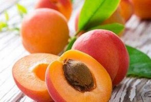 孕妇能吃杏子吗 吃杏子会怎样