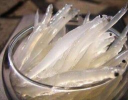 宝宝多大可以吃银鱼