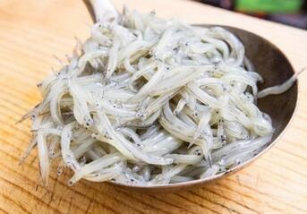 宝宝多大可以吃银鱼