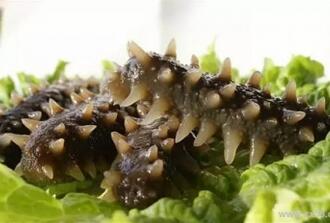 什么人不能吃海参