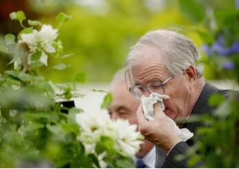 花粉过敏症状有哪些