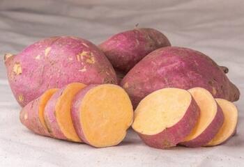 提高免疫力的五谷杂粮有哪些