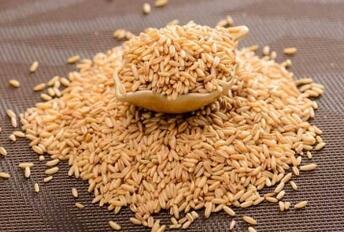 提高免疫力的五谷杂粮有哪些