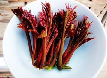 人流后能吃香椿吗