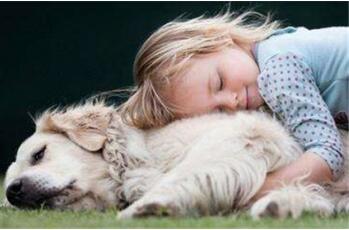 2019年猪宝宝小名大全