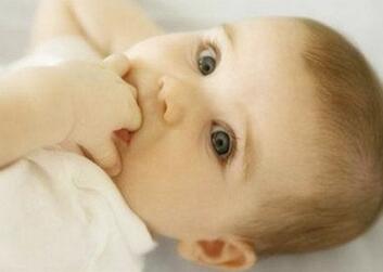 2019年猪宝宝小名大全