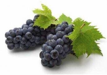 宝宝缺铁性贫血吃什么水果好