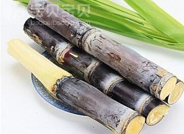 宝宝缺铁性贫血吃什么水果好