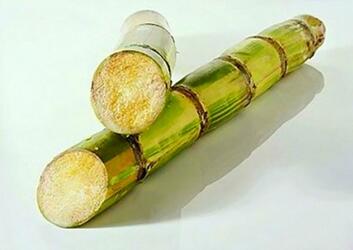 孕妇吃甘蔗好吗