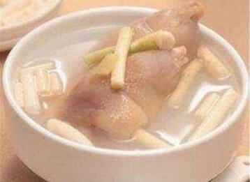 通草是什么 通草的功效与作用