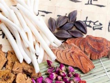 通草是什么 通草的功效与作用