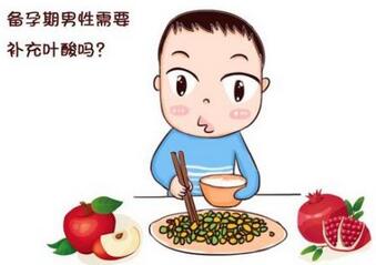 备孕爸爸要吃叶酸吗