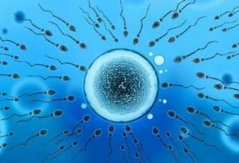 什么时候最容易受孕