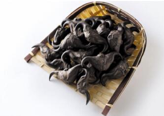 宝宝能吃菱角吗