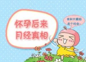 怀孕会来月经吗