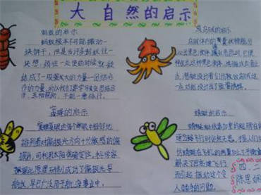 走进大自然手抄报内容图片
