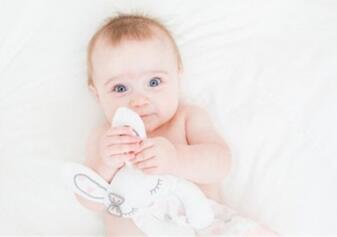 猪年女孩取名大全